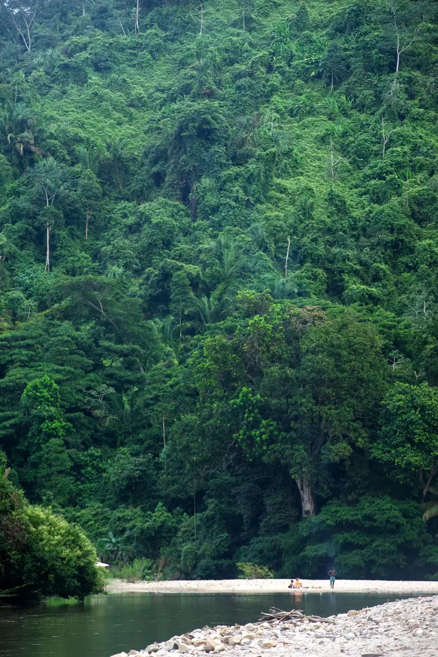 Vista del río y la selva, con algunas personas a lo lejos en la orilla